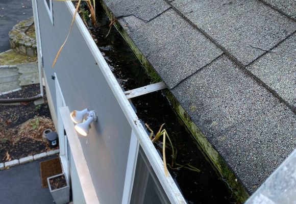 WhatsApp Image 2025-11-10 at 12.33.22 PM